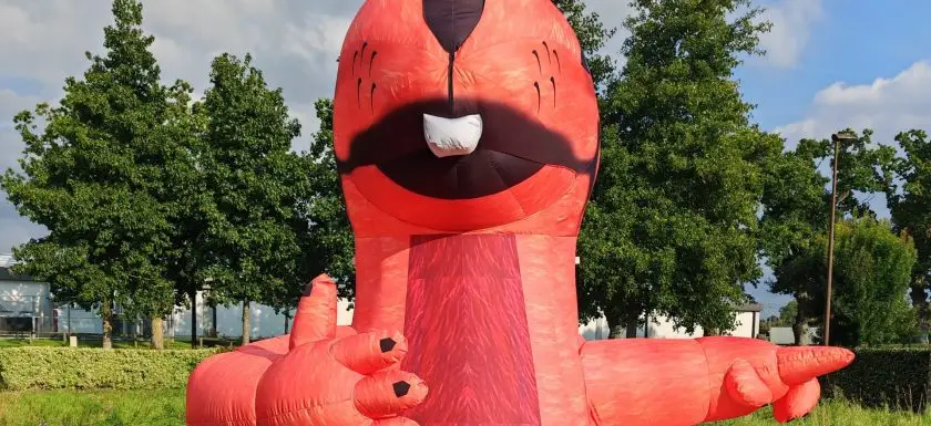Mascotte géante gonflable par l'agence de publicité et marketing