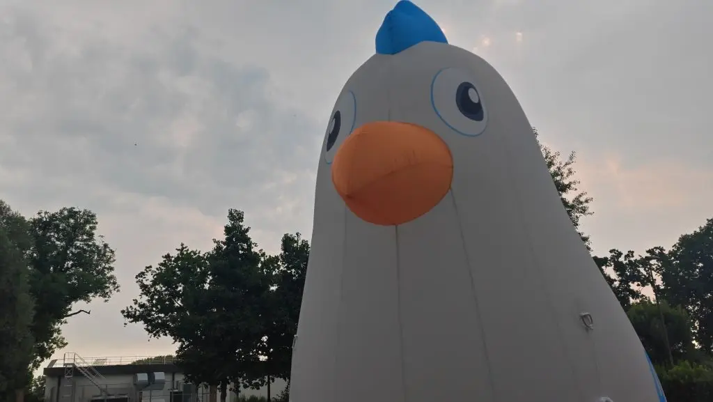 Poule géante gonflable personnalisée